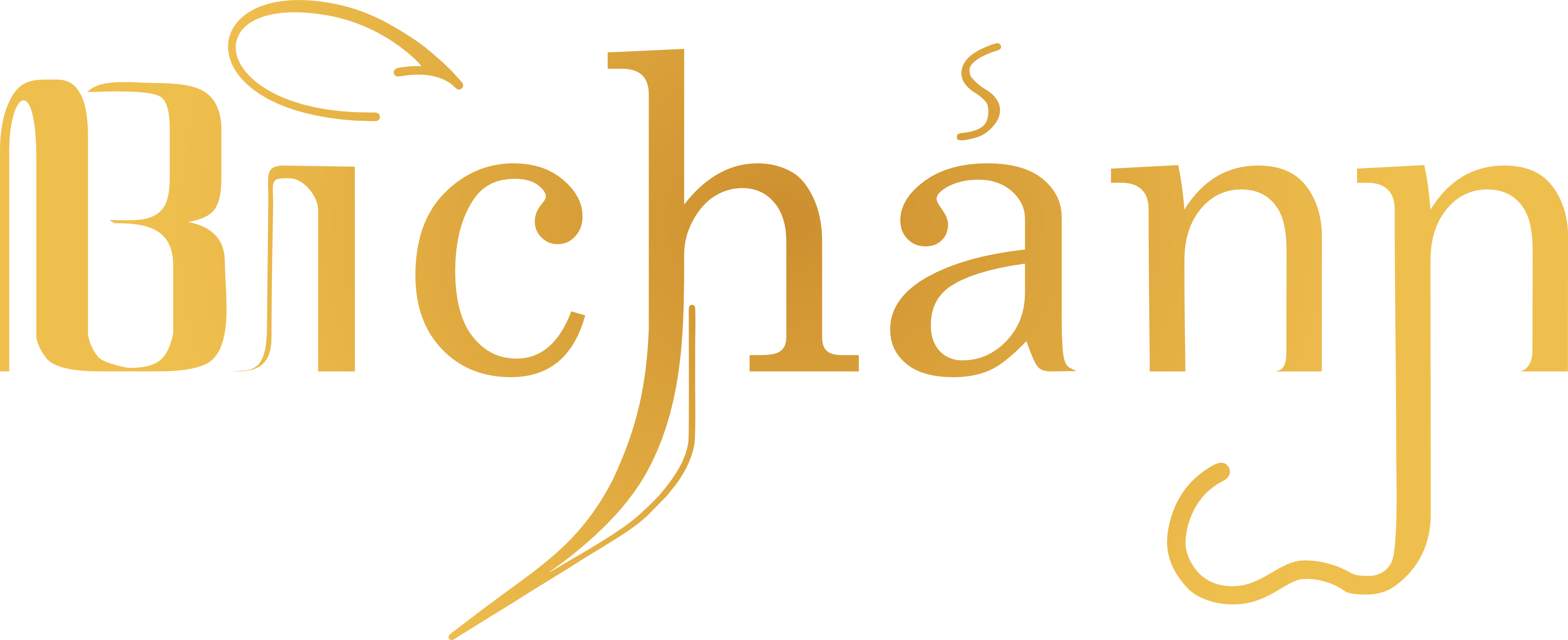 Partner 20